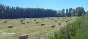 El valle de Los Antiguos impulsa su producción con nuevas maquinarias del CAP