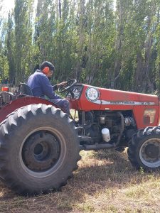 El valle de Los Antiguos impulsa su producción con nuevas maquinarias del CAP