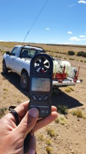 Control de la tucura sapo: Jornada clave para frenar su avance y proteger los campos de Santa Cruz