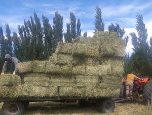 El CAP impulsa la producción en los valles con nueva maquinaria agrícola