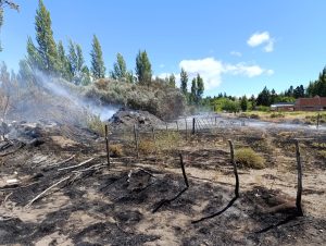 Controlaron incendio en la Reserva Urbana Laguna de Los Juncos de Los Antiguos