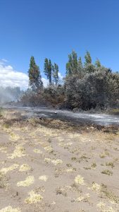 Controlaron incendio en la Reserva Urbana Laguna de Los Juncos de Los Antiguos