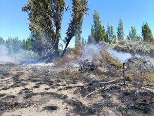 Controlaron incendio en la Reserva Urbana Laguna de Los Juncos de Los Antiguos