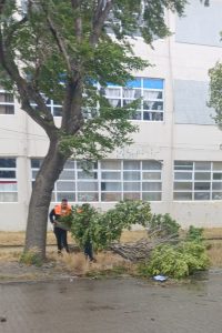 Protección Civil atendió llamados de urgencia en Río Gallegos