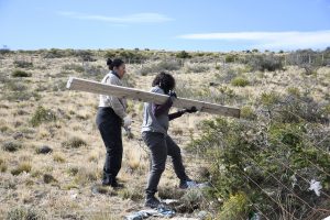 Limpieza y cuidado en la Laguna Azul: el CAP refuerza medidas frente al vandalismo