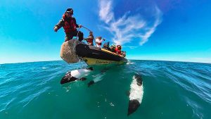 Puerto Deseado celebra la conectividad aérea: el Hub de vuelos regionales ya genera impacto