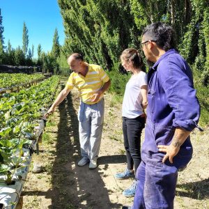 Realizan relevamientos en áreas productivas y uso del recurso hídrico en Perito Moreno y Los Antiguos