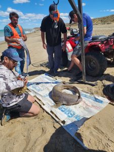 Realizaron Torneo de Pesca 2025 en la Reserva Provincial Península de San Julián