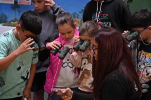 En verano: El Museo Molina te propone realizar un fascinante viaje por la prehistoria de Santa Cruz