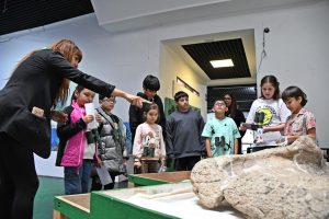 En verano: El Museo Molina te propone realizar un fascinante viaje por la prehistoria de Santa Cruz