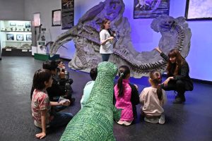 En verano: El Museo Molina te propone realizar un fascinante viaje por la prehistoria de Santa Cruz