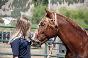 Santa Cruz participó en la Mesa Ovina Patagónica durante el Centenario de la Sociedad Rural de Esquel