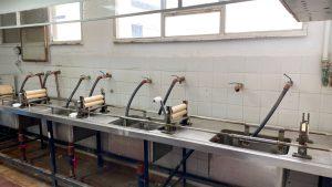 Calidad certificada: el Laboratorio de Lanas del CAP impulsa la producción santacruceña