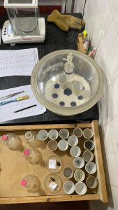 Calidad certificada: el Laboratorio de Lanas del CAP impulsa la producción santacruceña