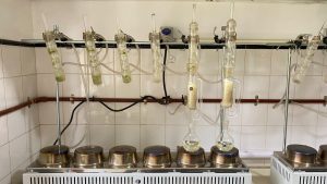 Calidad certificada: el Laboratorio de Lanas del CAP impulsa la producción santacruceña