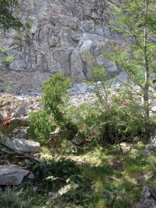 Advierten a la comunidad sobre el desprendimiento de rocas en el Paredón de los Cóndores