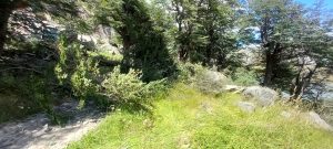 Advierten a la comunidad sobre el desprendimiento de rocas en el Paredón de los Cóndores