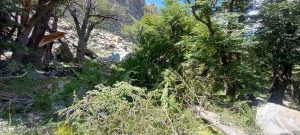 Advierten a la comunidad sobre el desprendimiento de rocas en el Paredón de los Cóndores