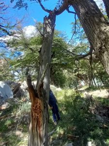 Advierten a la comunidad sobre el desprendimiento de rocas en el Paredón de los Cóndores