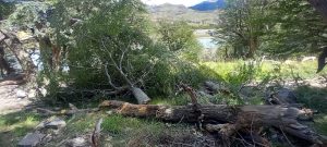 Advierten a la comunidad sobre el desprendimiento de rocas en el Paredón de los Cóndores