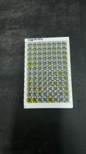 El Laboratorio de Sanidad Animal del Consejo Agrario analizó más de 26 mil muestras en 2024