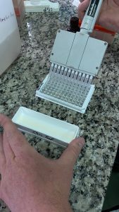 El Laboratorio de Sanidad Animal del Consejo Agrario analizó más de 26 mil muestras en 2024