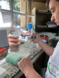 El Laboratorio de Sanidad Animal del Consejo Agrario analizó más de 26 mil muestras en 2024