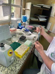 El Laboratorio de Sanidad Animal del Consejo Agrario analizó más de 26 mil muestras en 2024