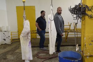 Proyectan ampliar el Matadero de Puerto Santa Cruz: más oportunidades para productores y una salida comercial para el guanaco