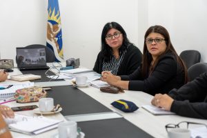 Con motivo de coordinar acciones se reunieron las Secretarías Técnicas de Educación