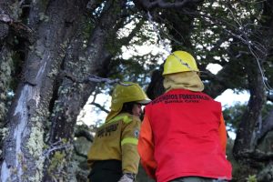 Santa Cruz en alerta: Brigadistas se ponen a disposición para combatir los incendios en la Comarca Andina