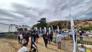 El Gobierno de Santa Cruz inauguró la 101ª Exposición Rural de Puerto Deseado