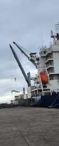 La paz social lograda en el puerto de Deseado permite una excelente temporada en la zafra del calamar