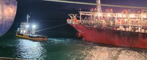 La paz social lograda en el puerto de Deseado permite una excelente temporada en la zafra del calamar