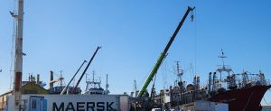 La paz social lograda en el puerto de Deseado permite una excelente temporada en la zafra del calamar