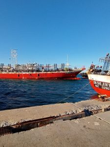 La paz social lograda en el puerto de Deseado permite una excelente temporada en la zafra del calamar