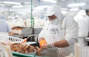 Vidal recorrió Puerto Deseado con empresarios chinos para impulsar inversiones en la industria pesquera y manufacturera