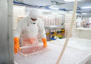 Vidal recorrió Puerto Deseado con empresarios chinos para impulsar inversiones en la industria pesquera y manufacturera