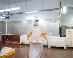 Vidal recorrió Puerto Deseado con empresarios chinos para impulsar inversiones en la industria pesquera y manufacturera