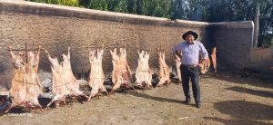 82ª Exposición Ganadera en Las Heras: El Gobierno reafirmó el compromiso con el campo santacruceño