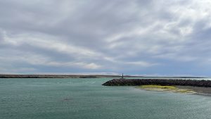 Tiburones en Santa Cruz: el estudio pionero a nivel nacional