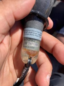 Tiburones en Santa Cruz: el estudio pionero a nivel nacional