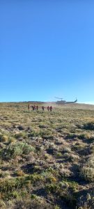 Brigadistas santacruceños en la primera línea de fuego en el Parque Nacional Lanín