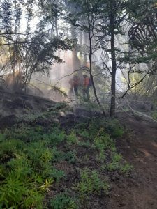 Brigadistas santacruceños en la primera línea de fuego en el Parque Nacional Lanín