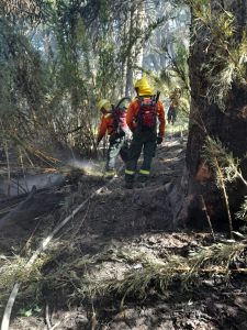 Brigadistas santacruceños en la primera línea de fuego en el Parque Nacional Lanín