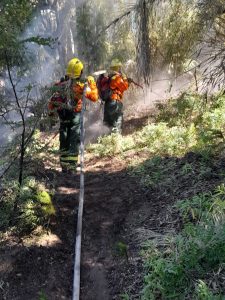 Brigadistas santacruceños en la primera línea de fuego en el Parque Nacional Lanín
