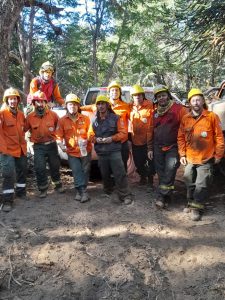 Brigadistas santacruceños en la primera línea de fuego en el Parque Nacional Lanín