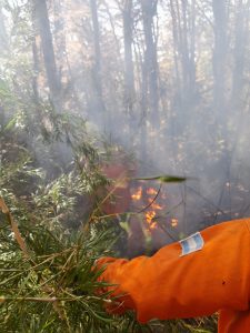 Brigadistas santacruceños en la primera línea de fuego en el Parque Nacional Lanín