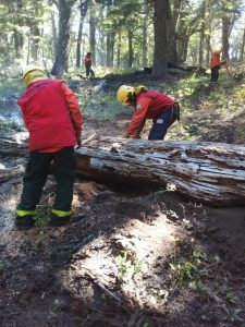 Brigadistas santacruceños en la primera línea de fuego en el Parque Nacional Lanín