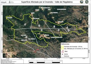 Brigadistas santacruceños en la primera línea de fuego en el Parque Nacional Lanín